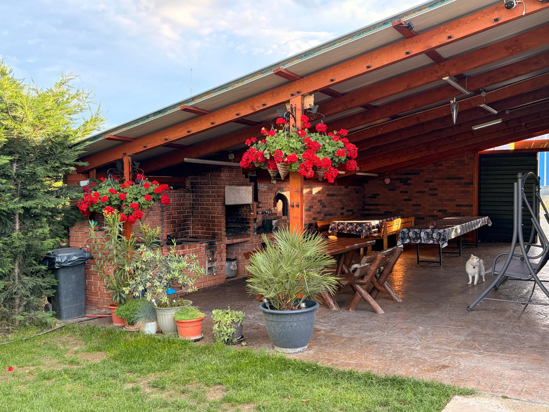 Terasa căsuței cu mușcate și plante decorative